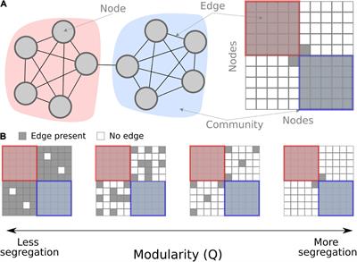 Segregation over time in functional networks in prefrontal cortex for individuals suffering from pathological fatigue after traumatic brain injury